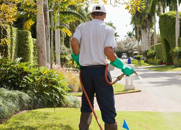 About Patterson GA Pest Control Pros